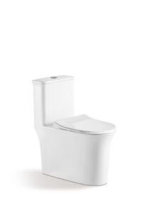 bồn cầu một khối RUSIT-VADO RU2920 là 1 sản phẩm của thương hiệu RUSIT - VADO.