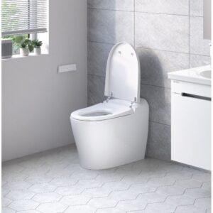 Kiểu dáng bồn cầu American Standard WP70DY